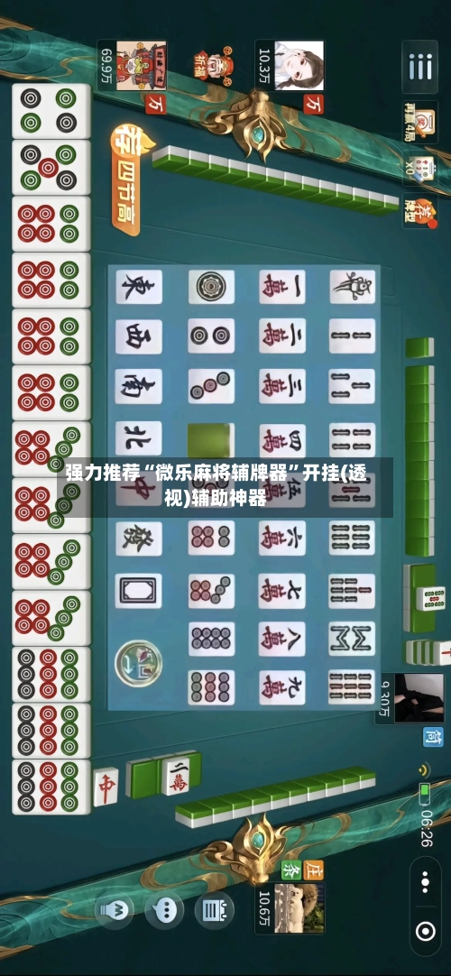 强力推荐“微乐麻将辅牌器”开挂(透视)辅助神器-第1张图片