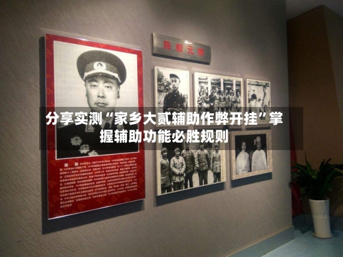 分享实测“家乡大贰辅助作弊开挂”掌握辅助功能必胜规则-第3张图片