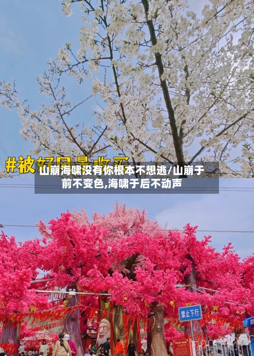 山崩海啸没有你根本不想逃/山崩于前不变色,海啸于后不动声-第3张图片
