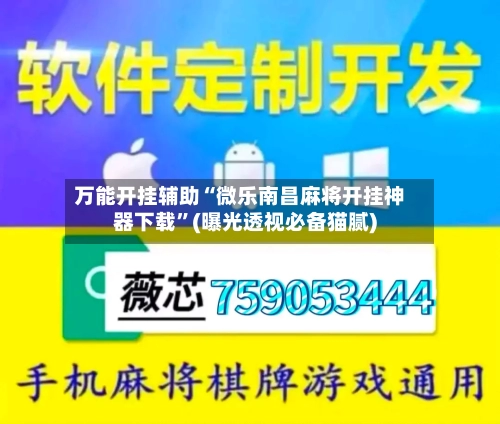 万能开挂辅助“微乐南昌麻将开挂神器下载”(曝光透视必备猫腻)-第3张图片