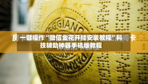 一键操作“微信金花开挂安装教程”科技辅助神器手机版教程-第2张图片