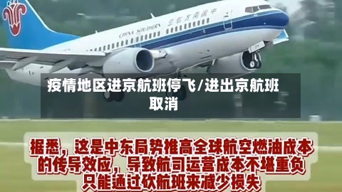 疫情地区进京航班停飞/进出京航班取消-第1张图片