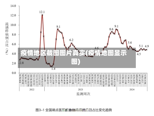 疫情地区截图图片真实(疫情地图显示图)-第1张图片