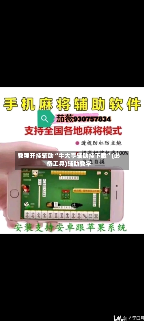 教程开挂辅助“牛大亨辅助挂下载”(必备工具)辅助教学-第2张图片