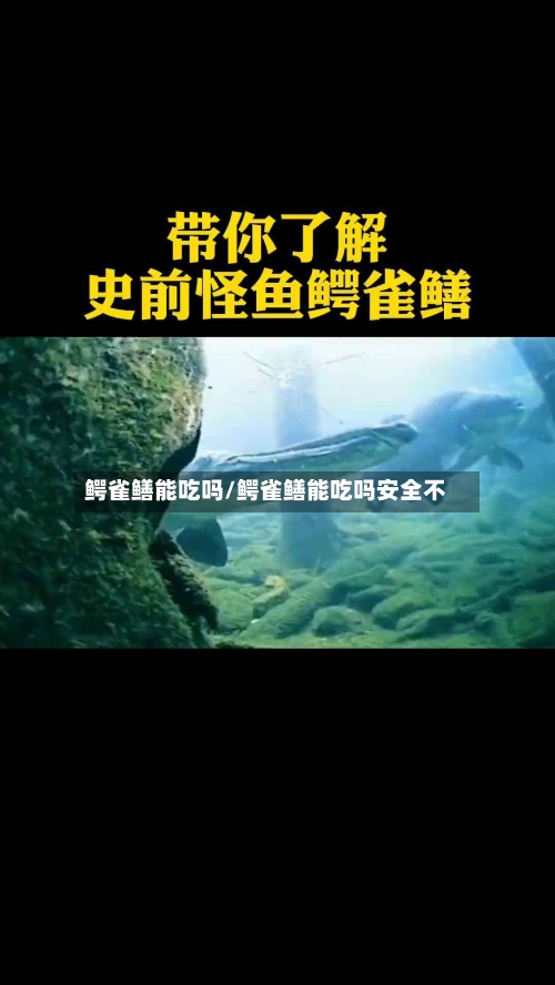 鳄雀鳝能吃吗/鳄雀鳝能吃吗安全不-第1张图片
