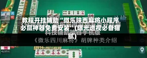教程开挂辅助“微乐陕西麻将小程序必赢神器免费安装”(曝光透视必备猫腻)-第1张图片