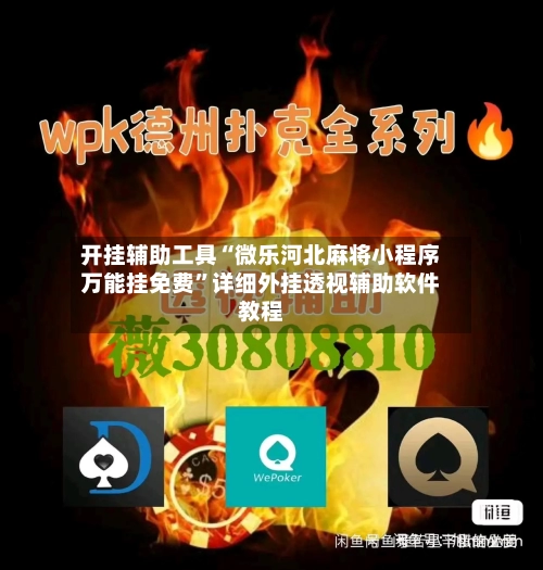 开挂辅助工具“微乐河北麻将小程序万能挂免费”详细外挂透视辅助软件教程-第3张图片