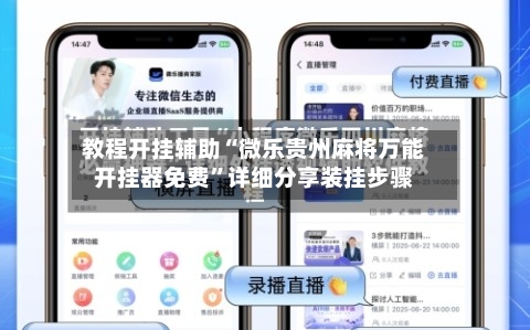 教程开挂辅助“微乐贵州麻将万能开挂器免费”详细分享装挂步骤-第2张图片