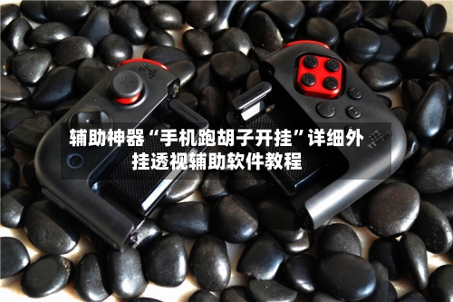 辅助神器“手机跑胡子开挂”详细外挂透视辅助软件教程-第2张图片