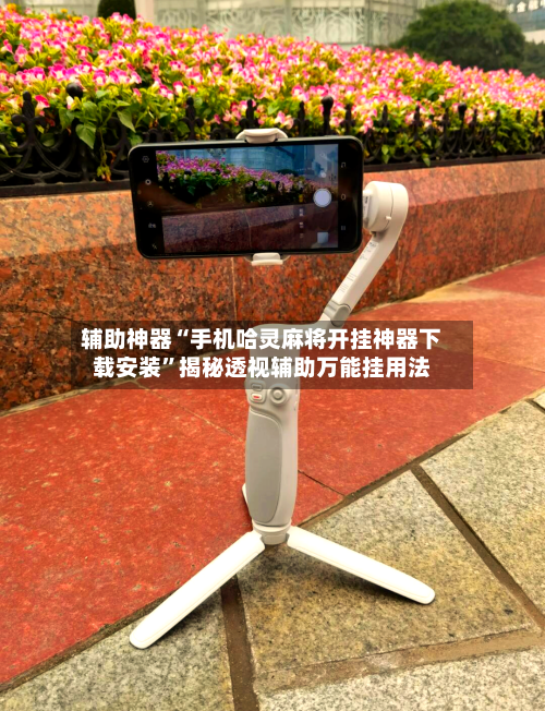 辅助神器“手机哈灵麻将开挂神器下载安装”揭秘透视辅助万能挂用法-第2张图片
