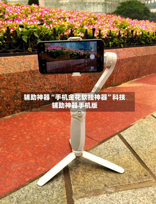 辅助神器“手机金花软挂神器”科技辅助神器手机版-第2张图片