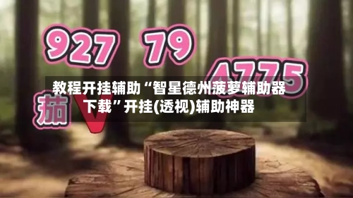教程开挂辅助“智星德州菠萝辅助器下载	”开挂(透视)辅助神器-第2张图片