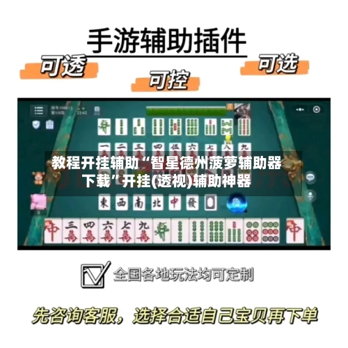 教程开挂辅助“智星德州菠萝辅助器下载”开挂(透视)辅助神器-第3张图片