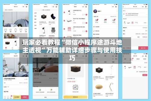 玩家必看教程“微信小程序途游斗地主透视”万能辅助详细步骤与使用技巧-第2张图片