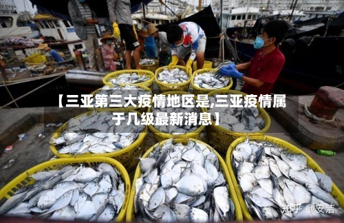 【三亚第三大疫情地区是,三亚疫情属于几级最新消息】-第1张图片