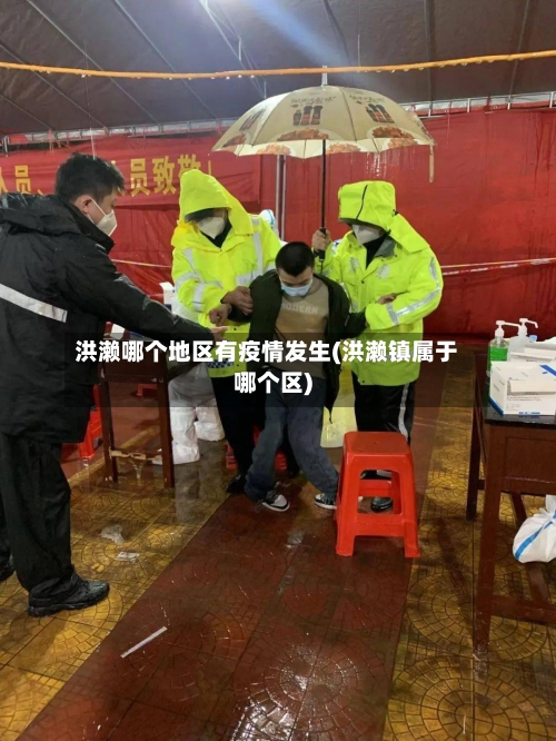 洪濑哪个地区有疫情发生(洪濑镇属于哪个区)-第2张图片