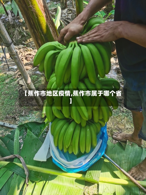 【蕉作市地区疫情,蕉作市属于哪个省】-第2张图片
