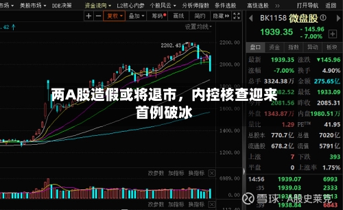 两A股造假或将退市，内控核查迎来首例破冰-第2张图片