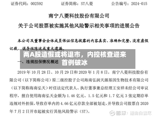 两A股造假或将退市，内控核查迎来首例破冰-第3张图片