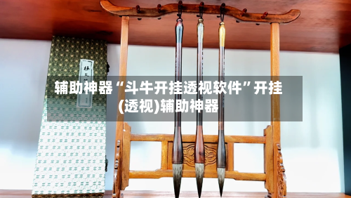 辅助神器“斗牛开挂透视软件”开挂(透视)辅助神器-第3张图片