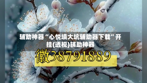 辅助神器“心悦填大坑辅助器下载”开挂(透视)辅助神器-第1张图片