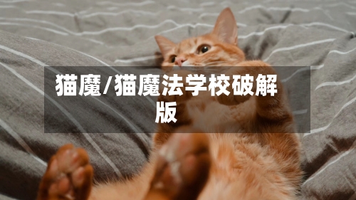 猫魔/猫魔法学校破解版-第1张图片