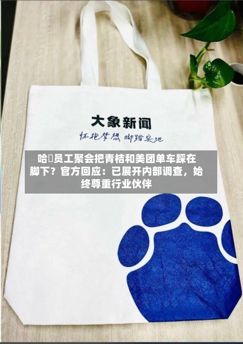 哈啰员工聚会把青桔和美团单车踩在脚下？官方回应：已展开内部调查，始终尊重行业伙伴-第2张图片