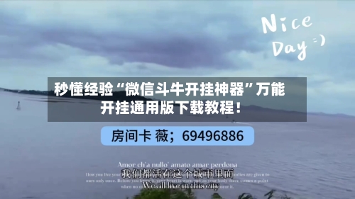 秒懂经验“微信斗牛开挂神器	”万能开挂通用版下载教程！-第2张图片