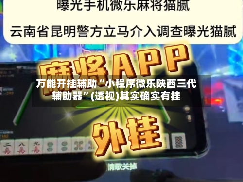 万能开挂辅助“小程序微乐陕西三代辅助器”(透视)其实确实有挂-第2张图片