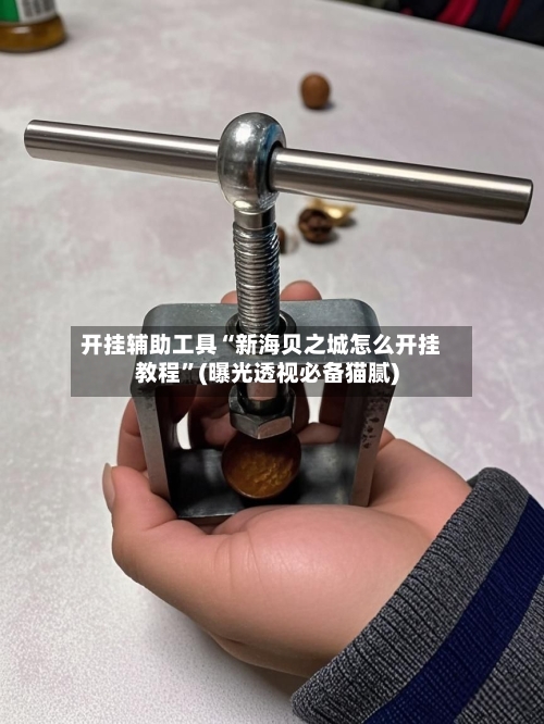 开挂辅助工具“新海贝之城怎么开挂教程”(曝光透视必备猫腻)-第2张图片