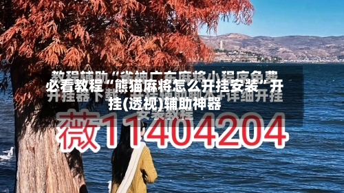 必看教程“熊猫麻将怎么开挂安装”开挂(透视)辅助神器-第1张图片