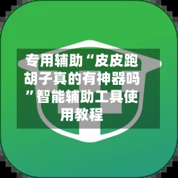 专用辅助“皮皮跑胡子真的有神器吗	”智能辅助工具使用教程-第1张图片