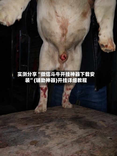 实测分享“微信斗牛开挂神器下载安装”(辅助神器)开挂详细教程-第2张图片