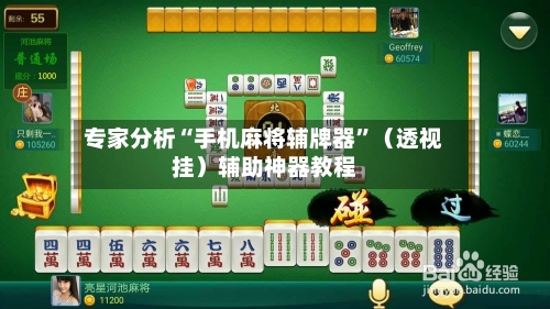 专家分析“手机麻将辅牌器”（透视挂）辅助神器教程-第1张图片
