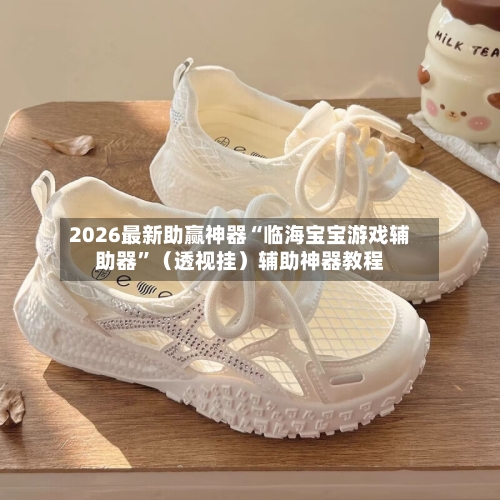 2026最新助赢神器“临海宝宝游戏辅助器”（透视挂）辅助神器教程-第3张图片