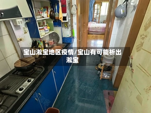 宝山淞宝地区疫情/宝山有可能析出淞宝-第2张图片