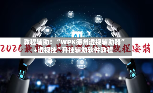 教程辅助！“WPK德州透视辅助器	”+透视挂”开挂辅助软件教程-第3张图片