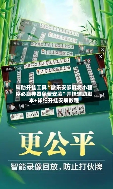 辅助开挂工具“微乐安徽麻将小程序必赢神器免费安装	”开挂辅助脚本+详细开挂安装教程-第3张图片
