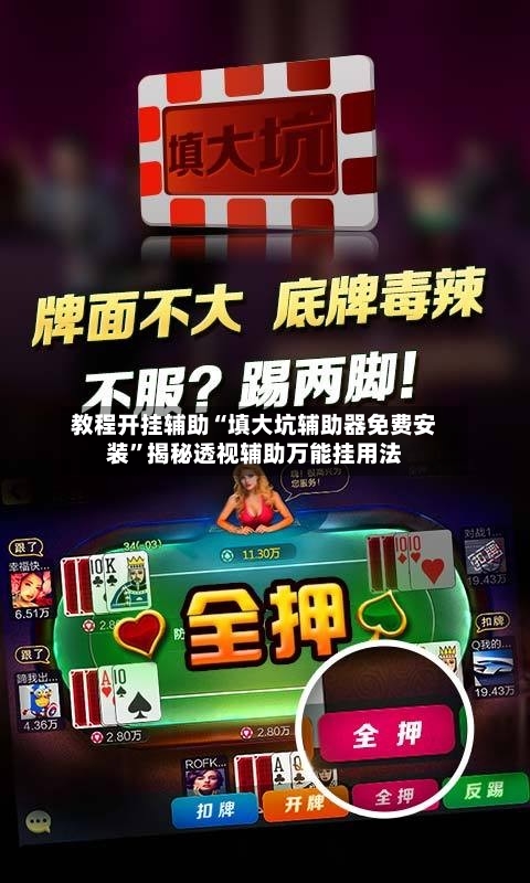 教程开挂辅助“填大坑辅助器免费安装”揭秘透视辅助万能挂用法-第1张图片
