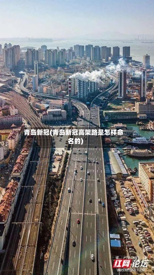 青岛新冠(青岛新冠高架路是怎样命名的)-第1张图片