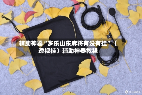 辅助神器“多乐山东麻将有没有挂	”（透视挂）辅助神器教程-第2张图片