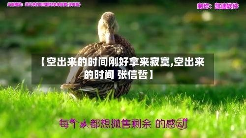 【空出来的时间刚好拿来寂寞,空出来的时间 张信哲】-第2张图片
