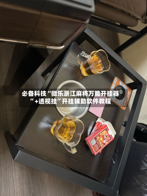 必备科技“微乐浙江麻将万能开挂器”+透视挂”开挂辅助软件教程-第2张图片