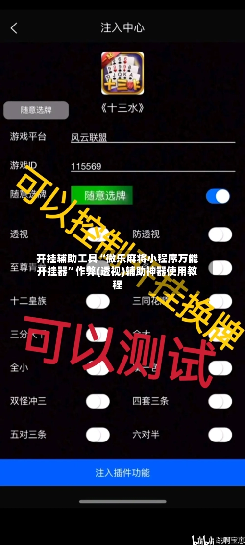 开挂辅助工具“微乐麻将小程序万能开挂器”作弊(透视)辅助神器使用教程-第2张图片