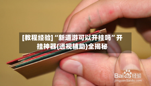 [教程经验]“新道游可以开挂吗”开挂神器{透视辅助}全揭秘-第3张图片