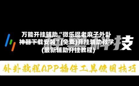 万能开挂辅助“微乐捉老麻子外卦神器下载安装”(免费)开挂辅助教学(最新辅助开挂教程)-第3张图片
