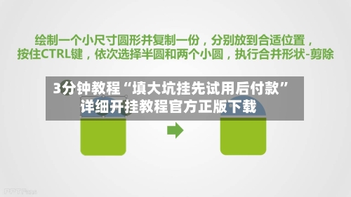 3分钟教程“填大坑挂先试用后付款”详细开挂教程官方正版下载-第2张图片