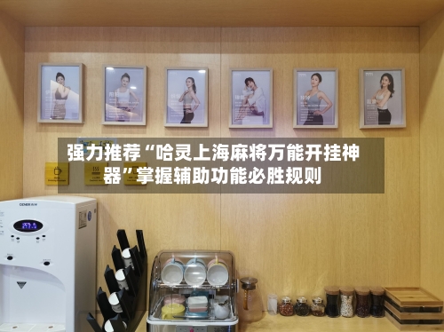 强力推荐“哈灵上海麻将万能开挂神器”掌握辅助功能必胜规则-第1张图片