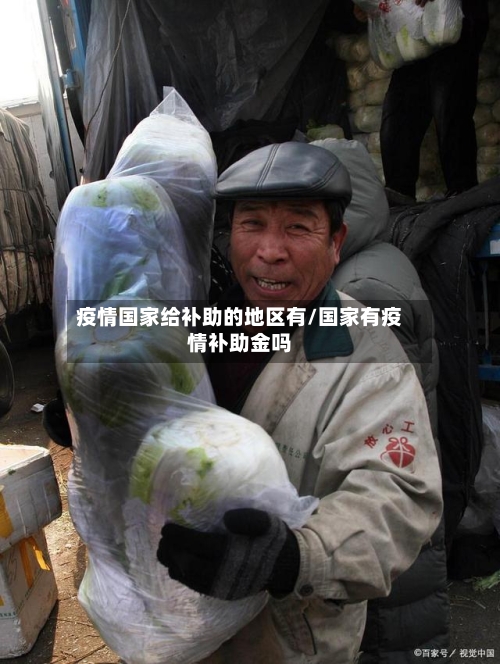 疫情国家给补助的地区有/国家有疫情补助金吗-第2张图片