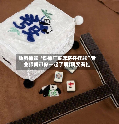助赢神器“雀神广东麻将开挂器”专业师傅带你一起了解(确实有挂-第1张图片